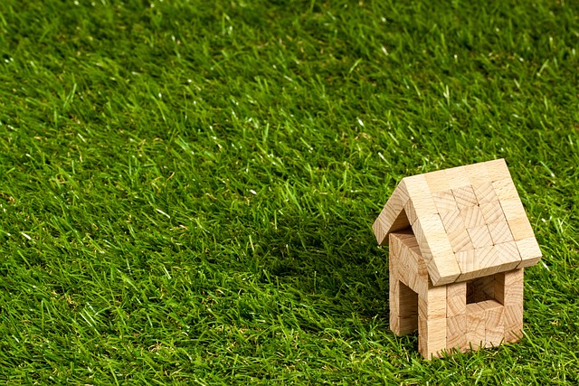Les obligations des parties contractantes dans le droit immobilier