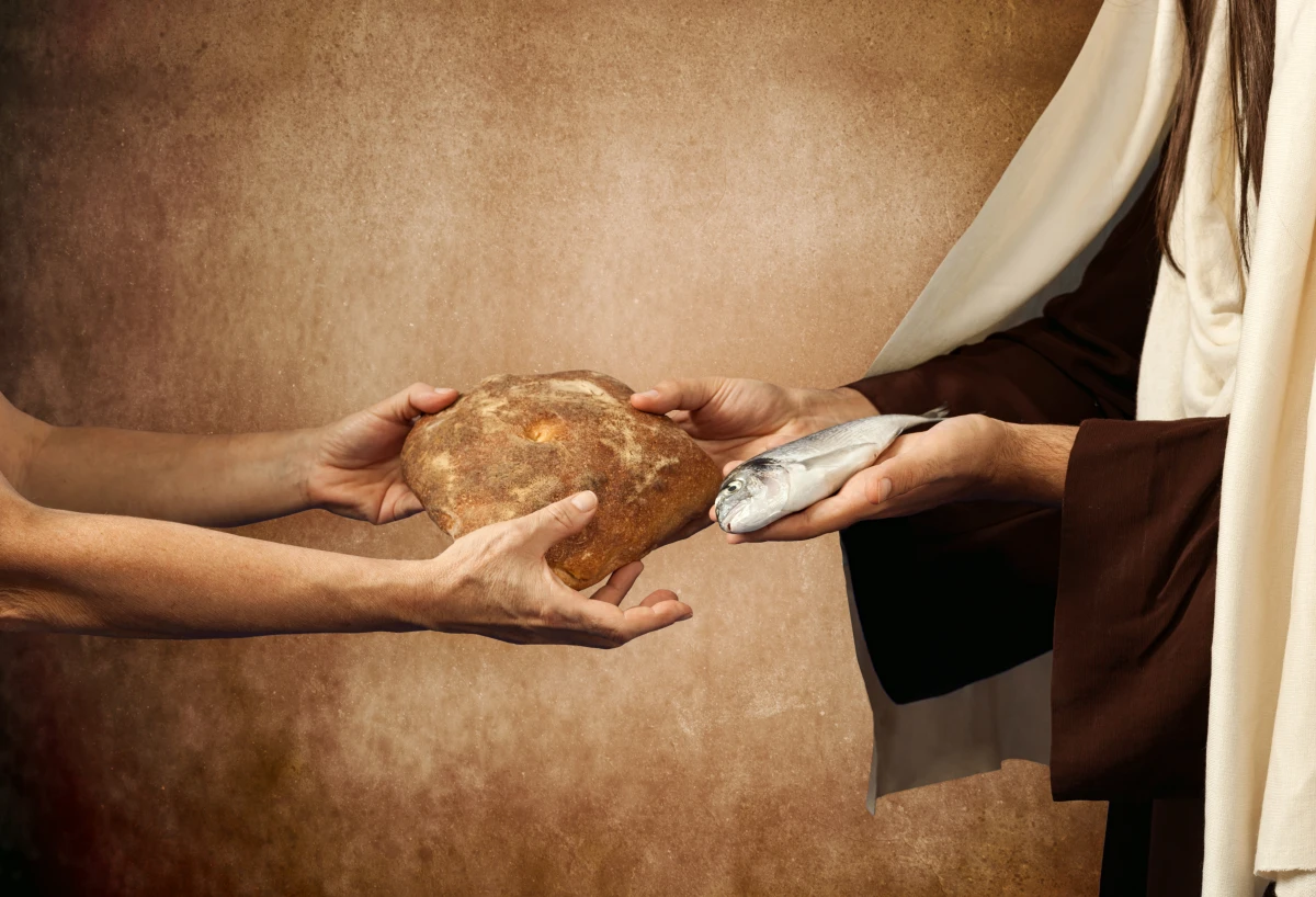 Donation au dernier vivant : optimisez votre protection successorale