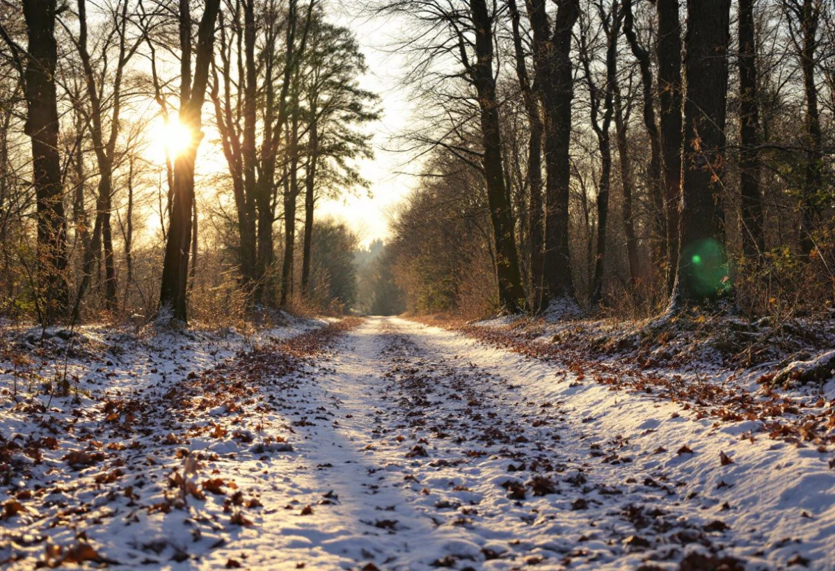 Peut-on se faire expulser en hiver ?