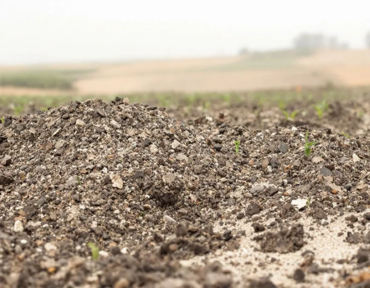L'Assurance Multirisque Agricole : Protéger l'Avenir de Nos Exploitations